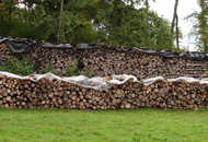 Bois de chauffage